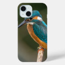Recherche de profil iphone coques Oiseau