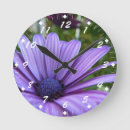 Recherche de fleur pourpre horloges Marguerite