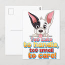 Recherche de humour pour des cartes postales Animaux de compagnie