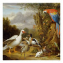 Recherche de canards autres Jakob bogdani
