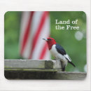 Recherche de diriger tapis souris Birding