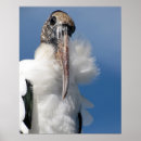 Recherche de et cigogne art Photographie