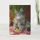 Recherche de persan vœux cartes Fleur