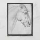 Recherche de tête de chevaux cartes postales Dessin