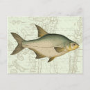 Recherche de eau douce cartes postales Pêche