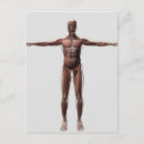 Recherche de avant bras cartes postales Biologie