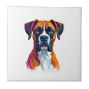 Recherche de boxer carreaux Pug