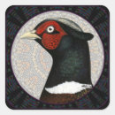 Recherche de chasse à oiseau autocollants Faisan