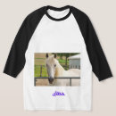 Recherche de chevaux arabes vêtements Cheval blanc