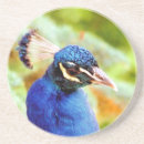 Recherche de peacock dessous de verres Beau