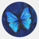 Recherche de bleu de papillon autocollants Nature