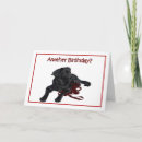 Recherche de canin autres Dog