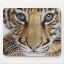 Recherche de zoologie tapis souris Animal