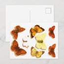 Recherche de zoologie posters Insecte