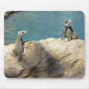 Recherche de iguane tapis souris Animal