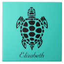 Recherche de tortue carreaux Animal