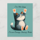 Recherche de chat zen cartes postales Chaton