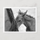 Recherche de jument photographie Poney