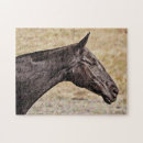 Recherche de cheval noir puzzles Amoureux des chevaux