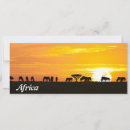 Recherche de animaux savane cartes postales Paysage