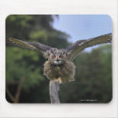Recherche de parties du corps tapis souris Regarder la caméra