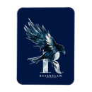 Recherche de sorcellerie magnets Aquarelle