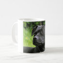 Recherche de staffie tasses Animal familier