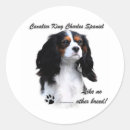 Recherche de cavalier autocollants Caverne