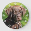 Recherche de brun chocolat art Animal