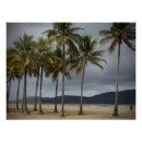 Recherche de plage palmier posters Palme