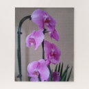 Recherche de orchid puzzles Plante