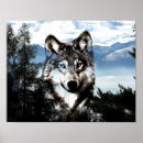 Recherche de visage de loup posters Neige