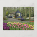 Recherche de jardin de cottage cartes postales Fleur