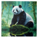 Recherche de pandas carreaux Asiatique