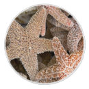 Recherche de animal marin boutons et poignées de porte Étoile de mer