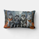 Recherche de siberian husky coussins Chien