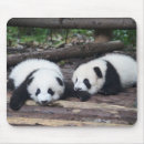 Recherche de panda mignon tapis souris Animal
