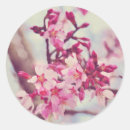 Recherche de arbre fleurissant autocollants Printemps