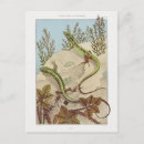 Recherche de lézard cartes postales Illustration
