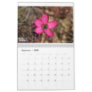 Recherche de plante carnivore Sundew