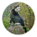 Recherche de amoureux des animaux boutons et poignées de porte Félin