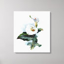 Recherche de calla lilly art Vintage