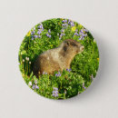 Recherche de marmotte badges Nature