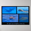 Recherche de grand dauphin posters Océan