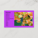 Recherche de paysages nature cartes visite Plante