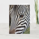Recherche de équidés vœux cartes Animal