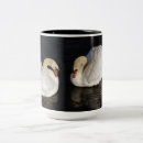 Recherche de deux oiseaux maison deco Couple