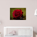 Recherche de textures posters Rose