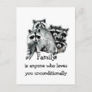 Recherche de raccoon cartes postales Faune