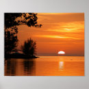 Recherche de arbre de coucher du soleil posters Silhouette